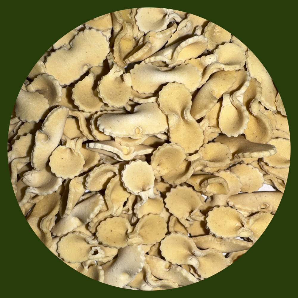 MOÑITOS DIET