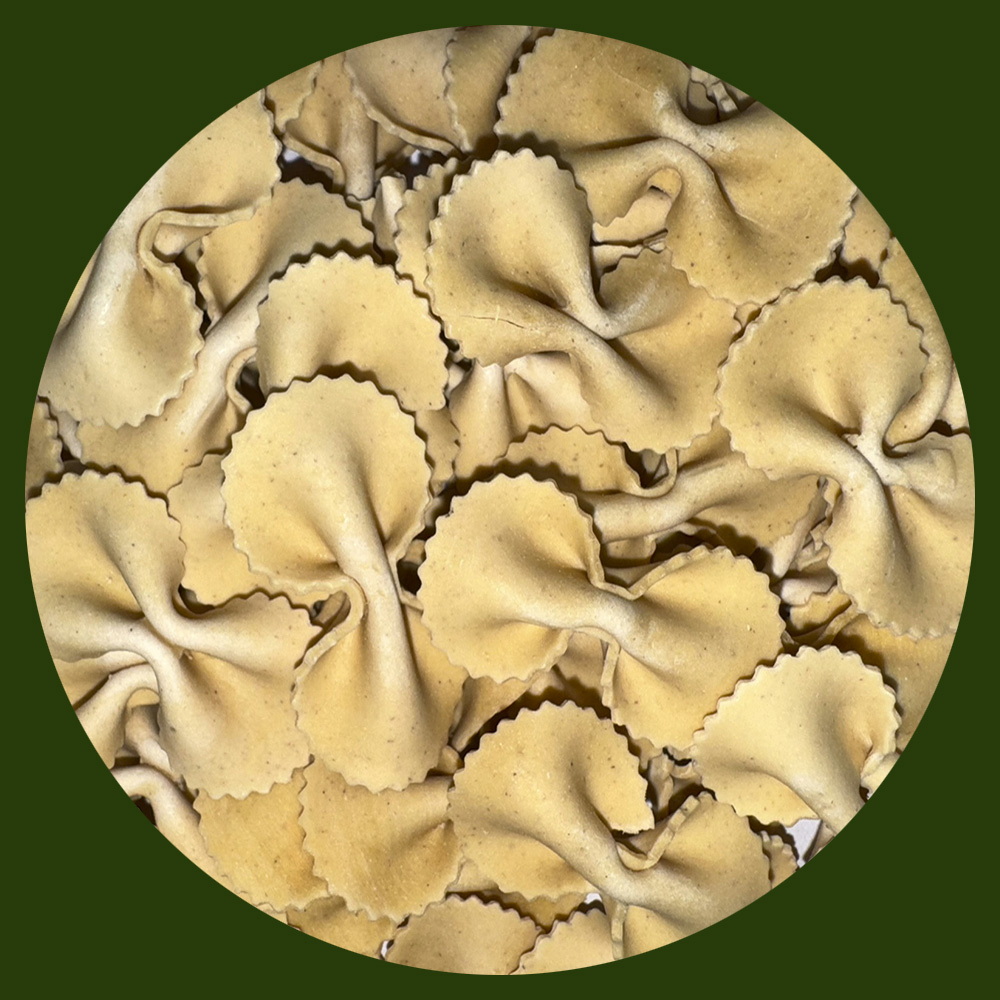 MOÑOS MEDIANOS DIET