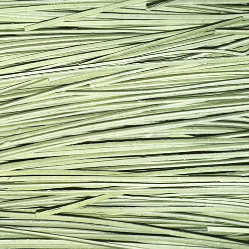 TALLARINES VERDES FINOS